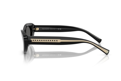 TIFFANY & CO. - Ochelari de soare - TF4236U - 8001S4 - 55
