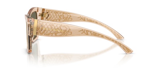 Dolce&Gabbana - Ochelari de soare - DG4493 - ​343203 - ​55
