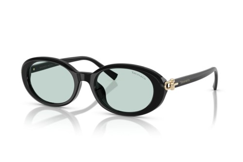 Tiffany & Co. - Ochelari de soare - TF4242D - 8001D9 - 54