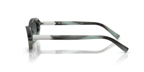 TIFFANY & CO. - Ochelari de soare - TF4250 - 84432G - 56