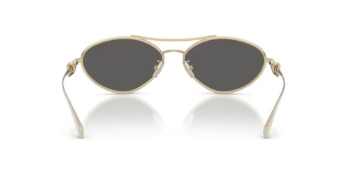 TIFFANY & CO. - Ochelari de soare - TF3117 60012G 58 - 6021S4 - 58