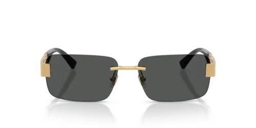 VERSACE - Ochelari de soare - VE2298 - 100287 - 58