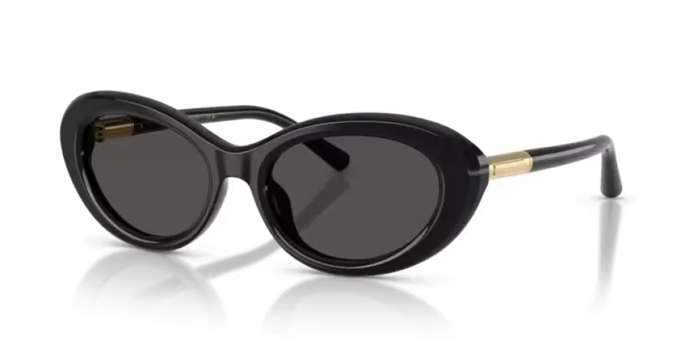DOLCE & GABBANA - Ochelari de soare - DG4519 - 501/87 - 54