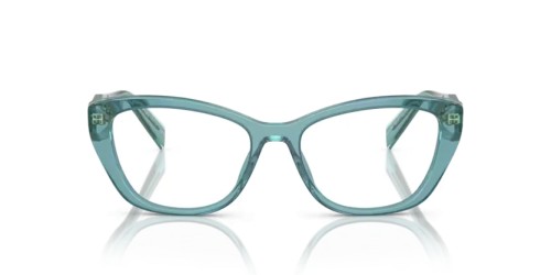 PRADA - Cadru optic - PR 19WV - 16J1O1 - 53