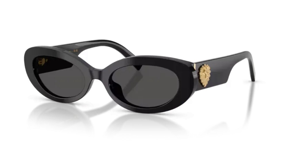 DOLCE & GABBANA - Ochelari de soare - DG4537 - 501/87 - 53