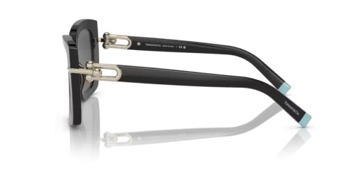 TIFFANY & CO. - Ochelari de soare - TF4199 - 8001S4 - 53