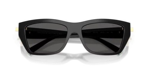 TIFFANY & CO. - Ochelari de soare - TF4255U - 8001S4 - 56