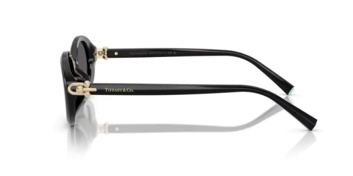 TIFFANY & CO. - Ochelari de soare - TF4242D - 8361S4 - 54