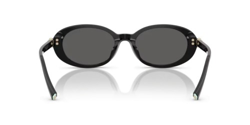 TIFFANY & CO. - Ochelari de soare - TF4242D - 8361S4 - 54