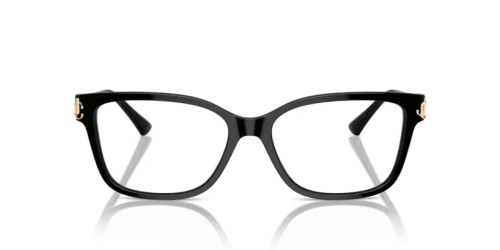 Jimmy Choo JC3012 - 5000 - 55 Cadru optic Negru