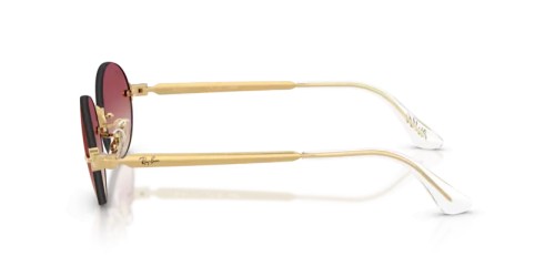 Ray-Ban RB3929 - 001/8H - 54 Ochelari de soare Oval