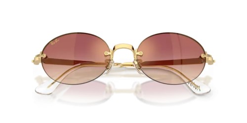 Ray-Ban RB3929 - 001/8H - 54 Ochelari de soare Oval