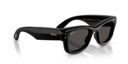 Ray-Ban RB4940 - 601/87 - 47 Ochelari de soare Negru Pătrat