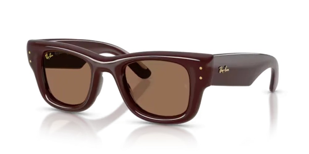 Ray-Ban RB4940 - 687773 - 50 Ochelari de soare Maro închis Pătrat