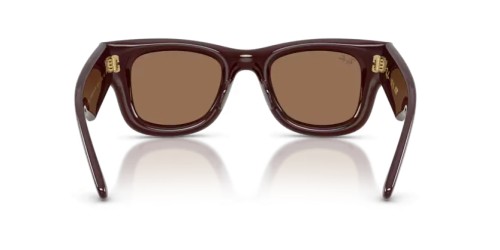 Ray-Ban RB4940 - 687773 - 50 Ochelari de soare Maro închis Pătrat