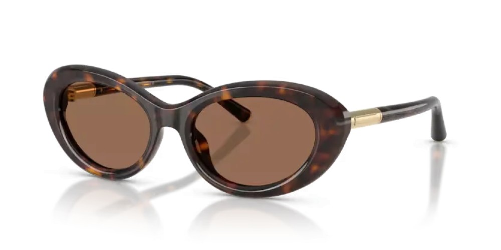 DOLCE & GABBANA DG4519 - 502/73 - 54 Ochelari de soare Havanna Oval