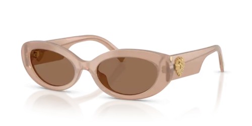 DOLCE & GABBANA DG4537 - 304273 - 53 Ochelari de soare Oval