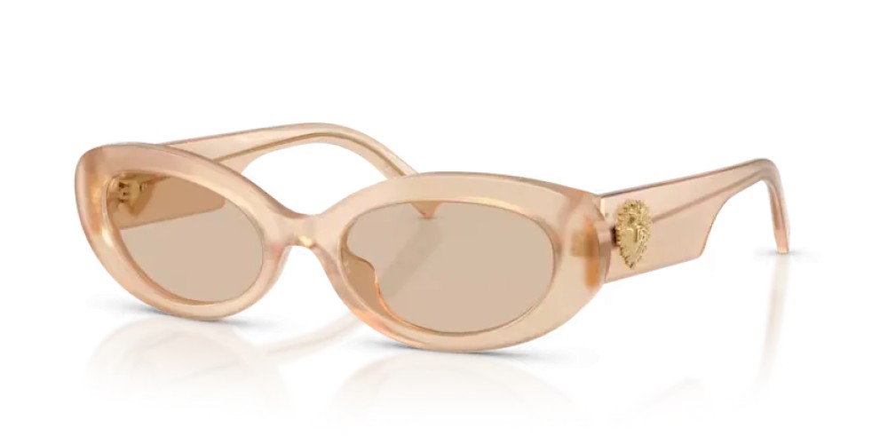 DOLCE & GABBANA DG4537 - 308993 - 53 Ochelari de soare Oval