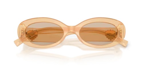 DOLCE & GABBANA DG4537 - 308993 - 53 Ochelari de soare Oval