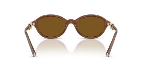 TIFFANY & CO. TF4266U - 847183 - 51 - CU LENTILE POLARIZATE Ochelari de soare Transparent miere Oval