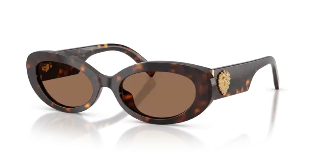 DOLCE & GABBANA DG4537 - 502/73 - 53 Ochelari de soare Havanna Oval