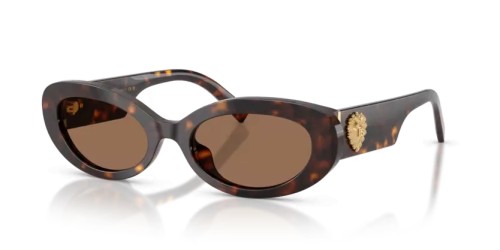 DOLCE & GABBANA DG4537 - 502/73 - 53 Ochelari de soare Havanna Oval