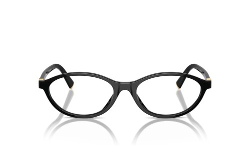 Miu Miu - Cadru optic - MU 09XV - ​16K1O1 - ​53